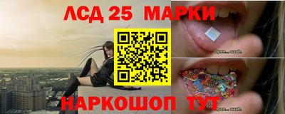 молекула духа Жуковский