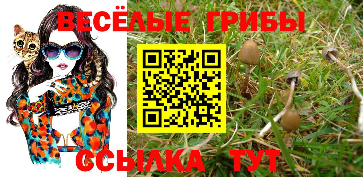 Псилоцибиновые грибы MAGIC MUSHROOMS Междуреченск