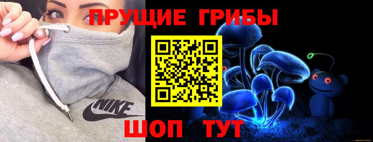 Галлюциногенные грибы Psilocybe  Галлюциногенные грибы MAGIC MUSHROOMS  Вход с VPN  Междуреченск 